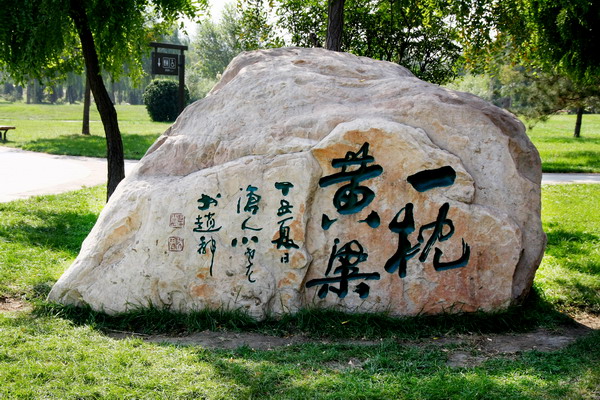 张建华
