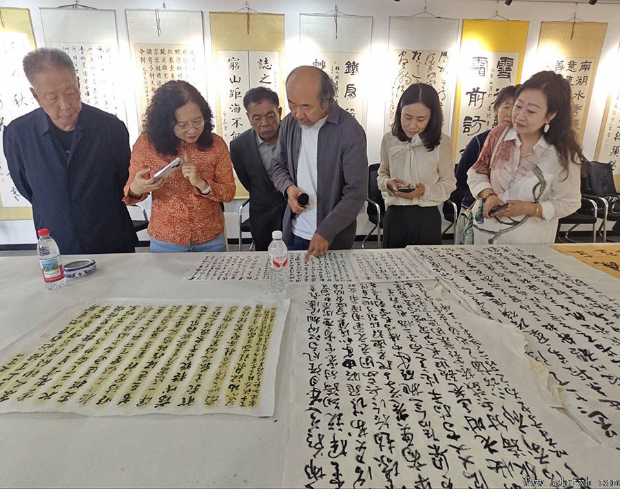 邯郸书协草书委员会成功举办首次临创研习会