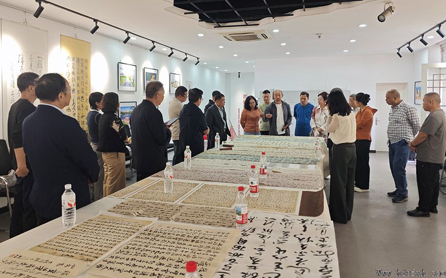 邯郸书协草书委员会成功举办首次临创研习会