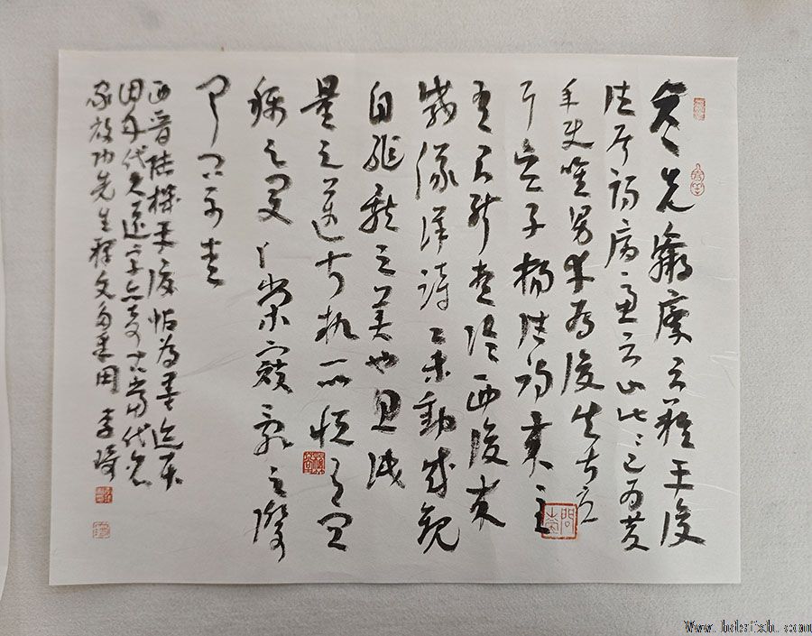 邯郸书协草书委员会成功举办首次临创研习会