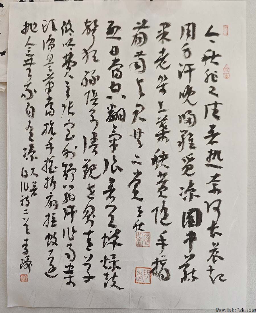 邯郸书协草书委员会成功举办首次临创研习会