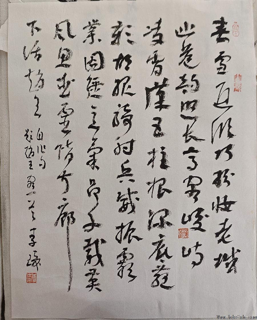 邯郸书协草书委员会成功举办首次临创研习会