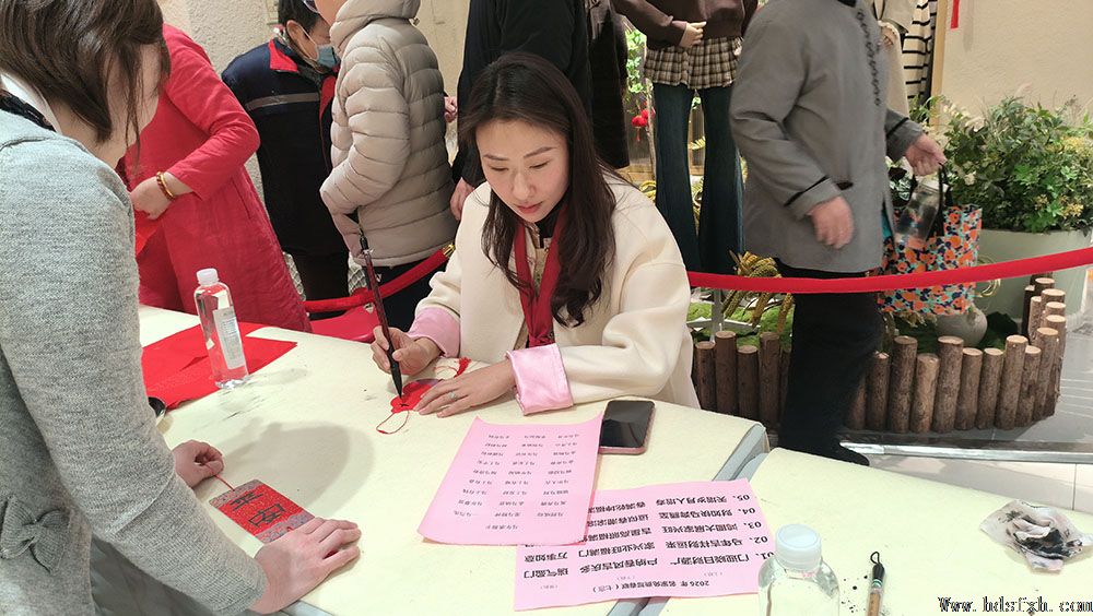 邯郸书协“新春特别行动-万福迎春”走进天鸿广场