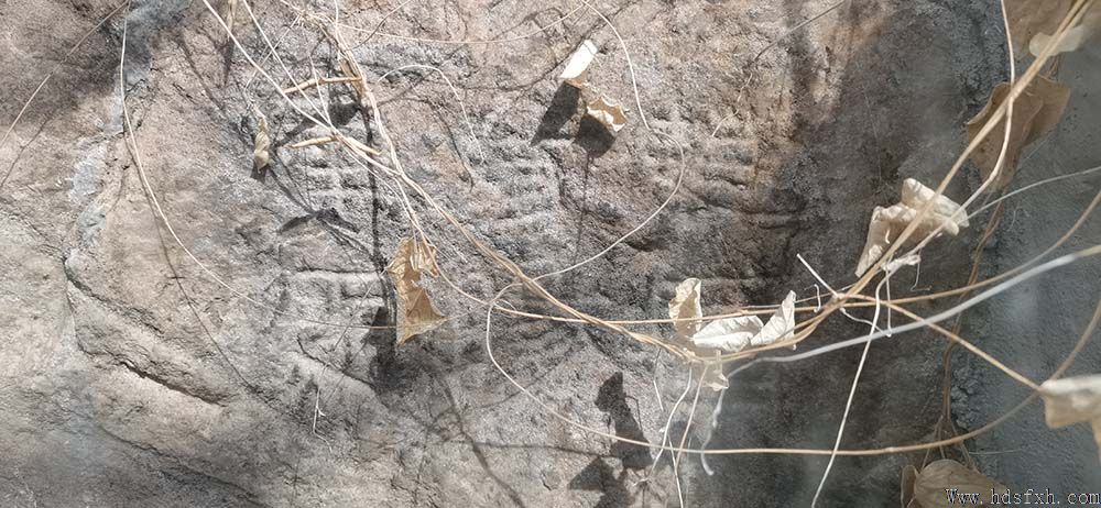 ������Э����ίԱ�Ḱ�䰲�á��Թ������Ͻ�ʯ�̡���ѧ�ɷ�